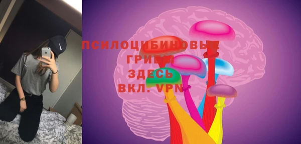 Альфа ПВП Михайлов
