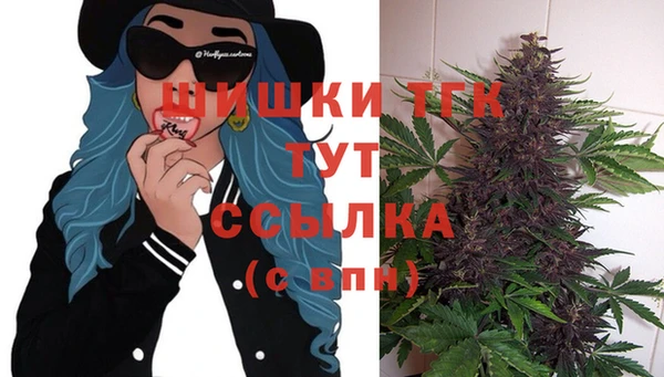 PSILOCYBIN Абдулино
