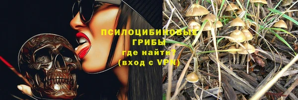 Альфа ПВП Михайлов