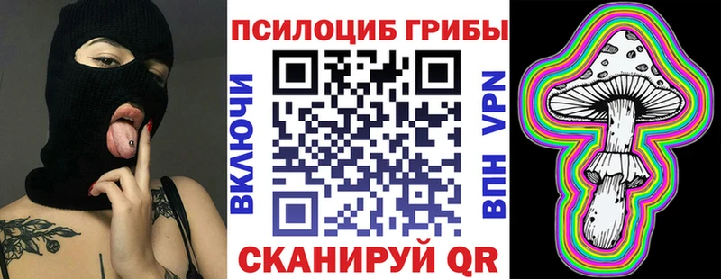 Псилоцибиновые грибы мицелий  даркнет как зайти  Нестеровская  купить наркотики сайты 